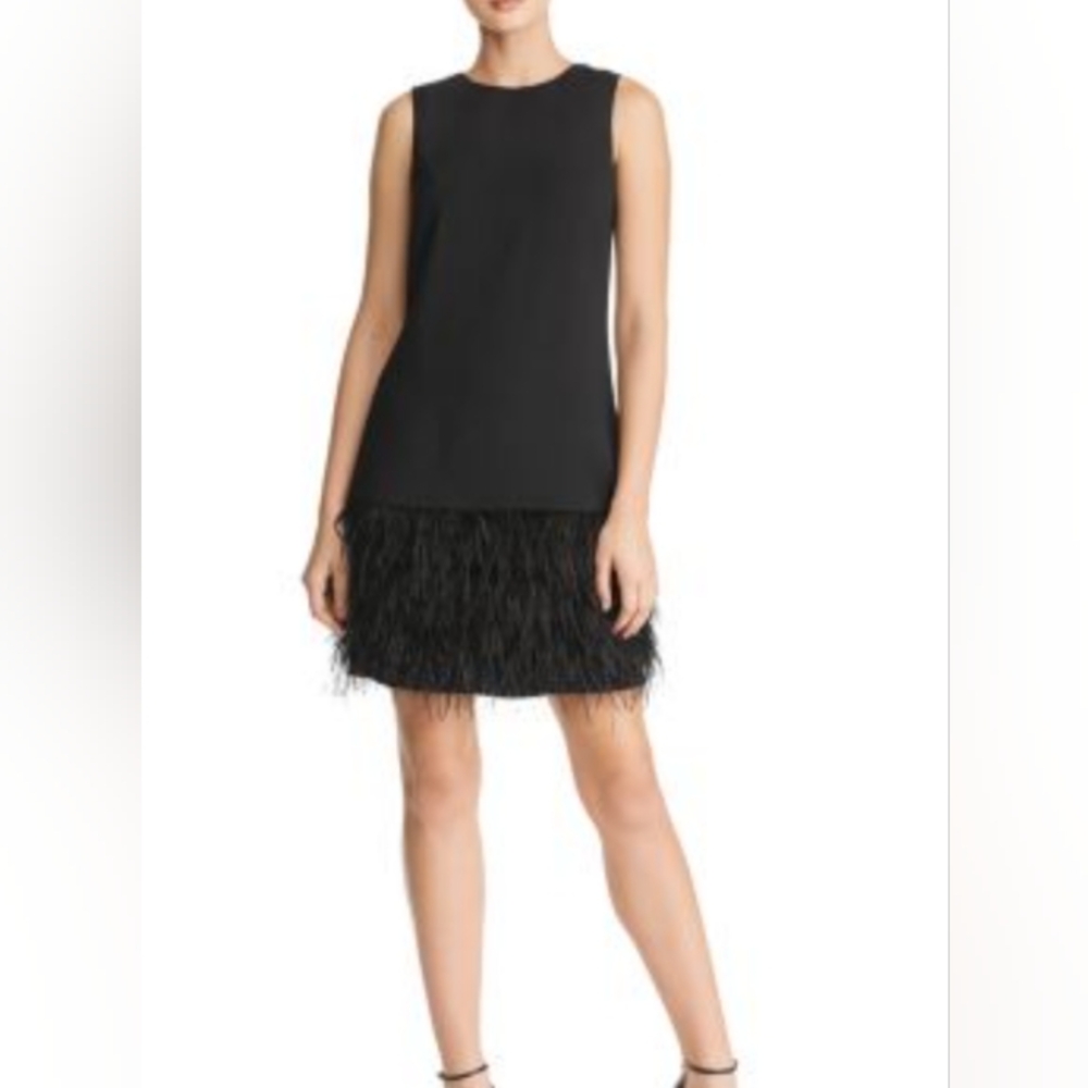 Same EdelmanLBD Cocktail Chic Black Feathered Mini Dress Size 10